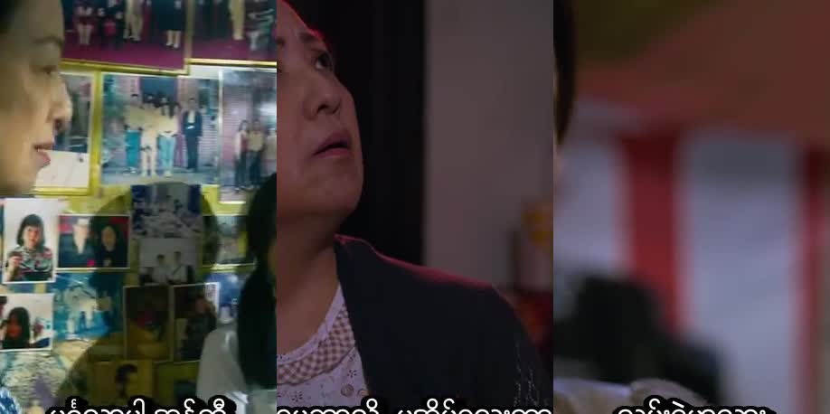 The Gigolo 1 MMSub (Chinese)